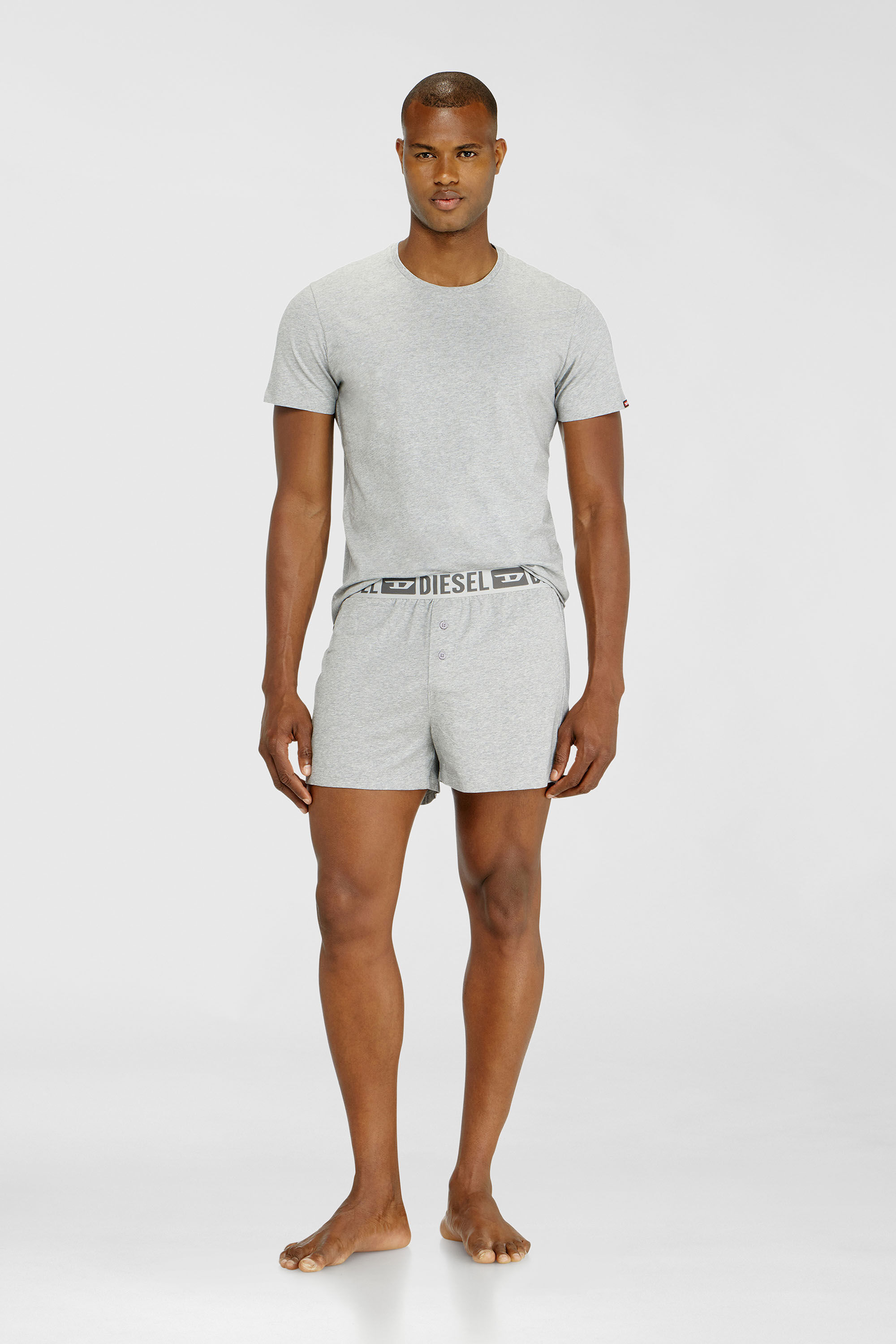Diesel - STARKIE-D-CORE-2PACK, Herren Boxershorts aus stretch-baumwolle im Zweierpack in Grau - 1