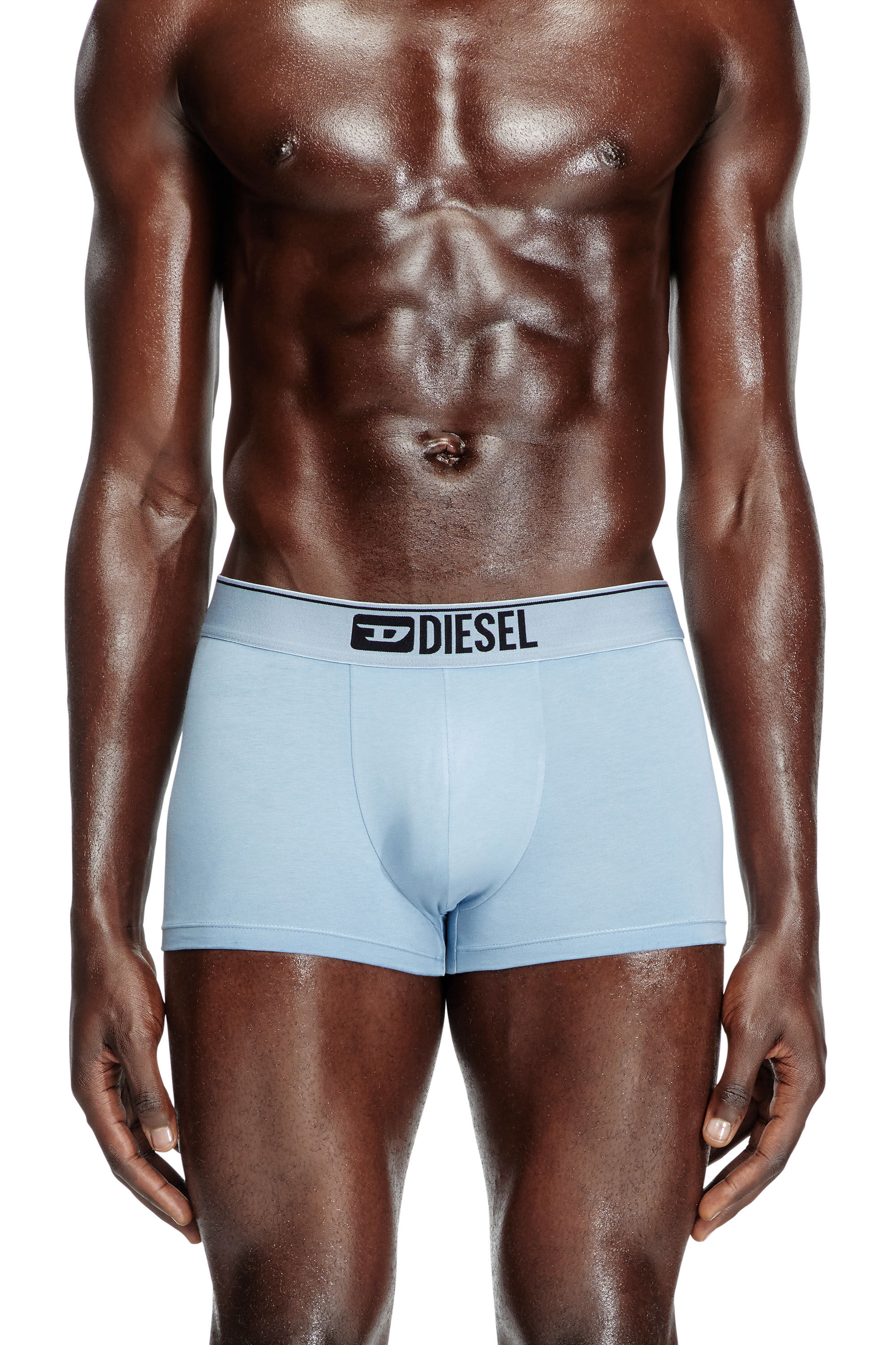 Diesel - DAMIEN-THREEPACK, Herren Retropants mit floralem Motiv im Dreierpack in Blau/Weiss - 3