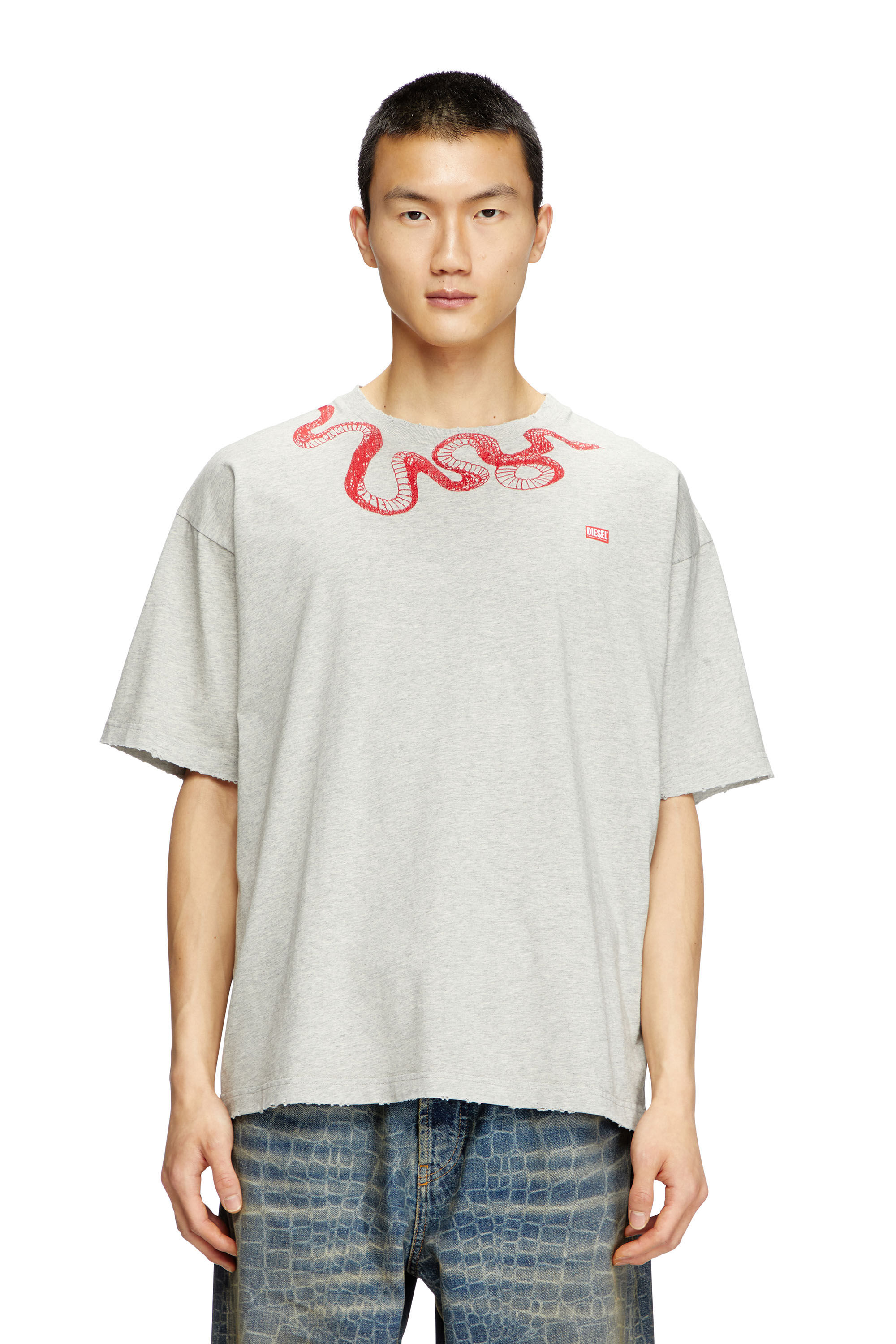 Diesel - CL-T-BOXT-MEL-SNAKE, Unisex T-Shirt mit Schlangen-Stickerei in Grau - 3
