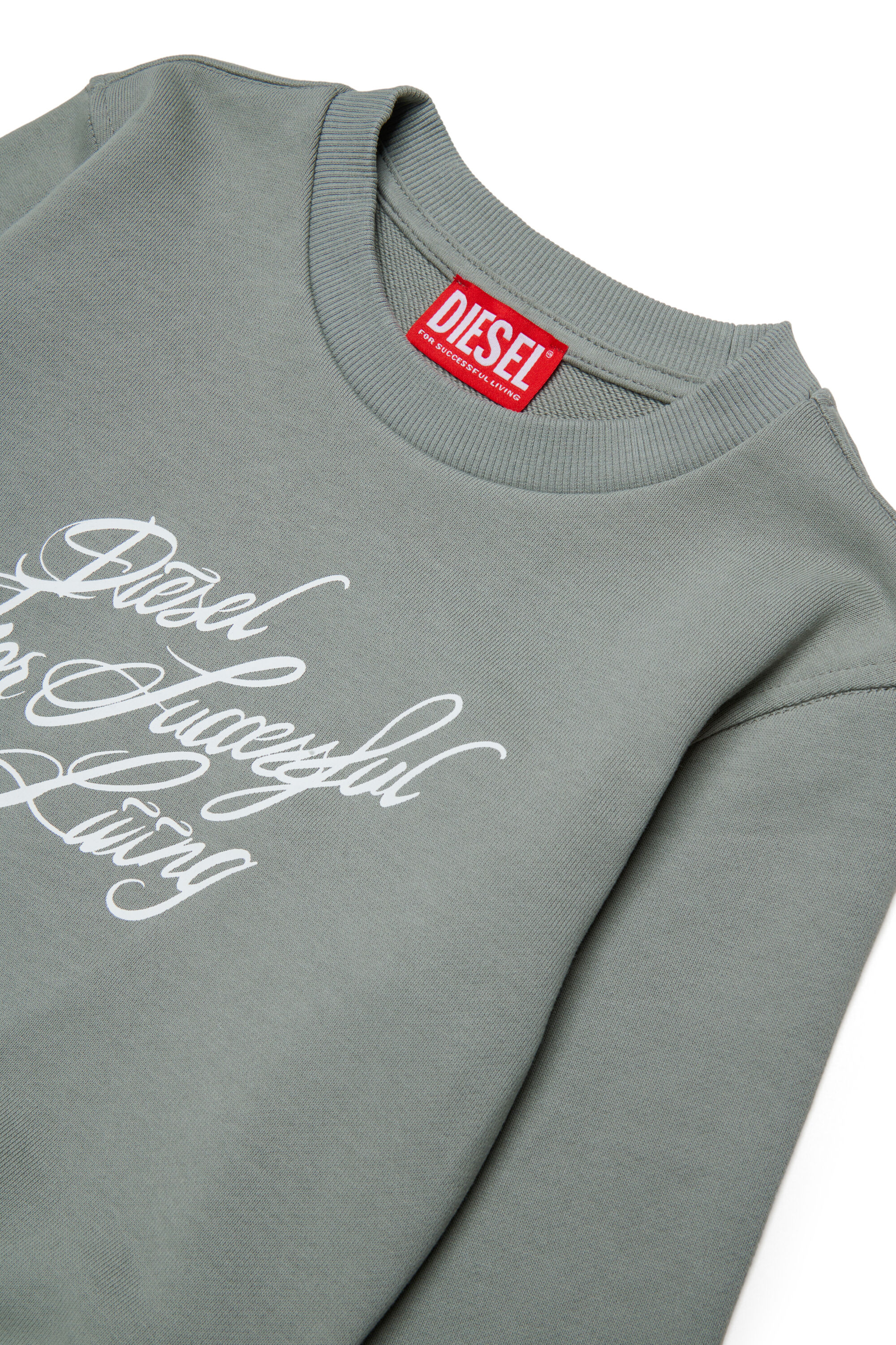 Diesel - SCRIPT, Damen Kurzes Sweatshirt mit Script-Print in Grau - 3