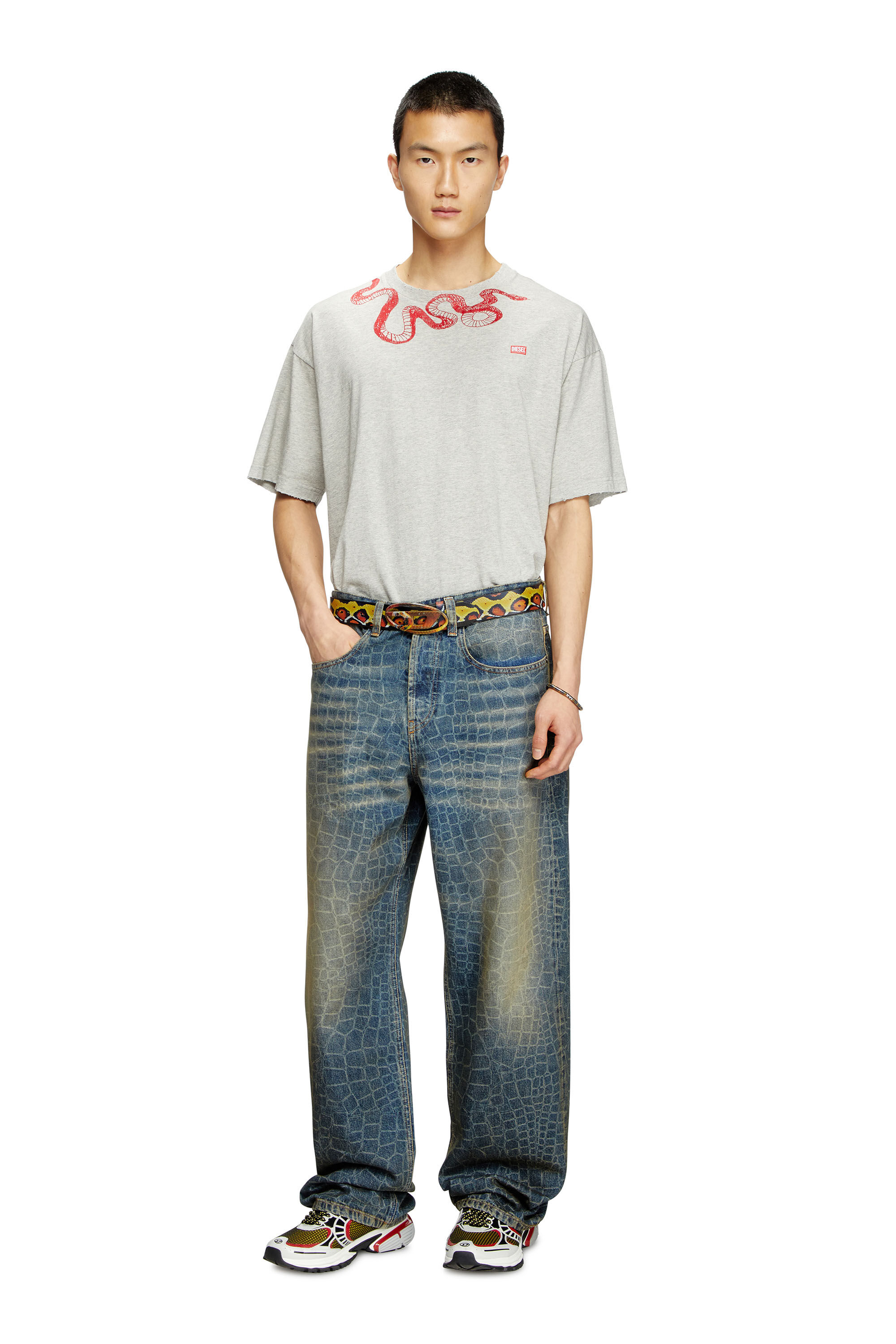 Diesel - CL-T-BOXT-MEL-SNAKE, Unisex T-Shirt mit Schlangen-Stickerei in Grau - 1