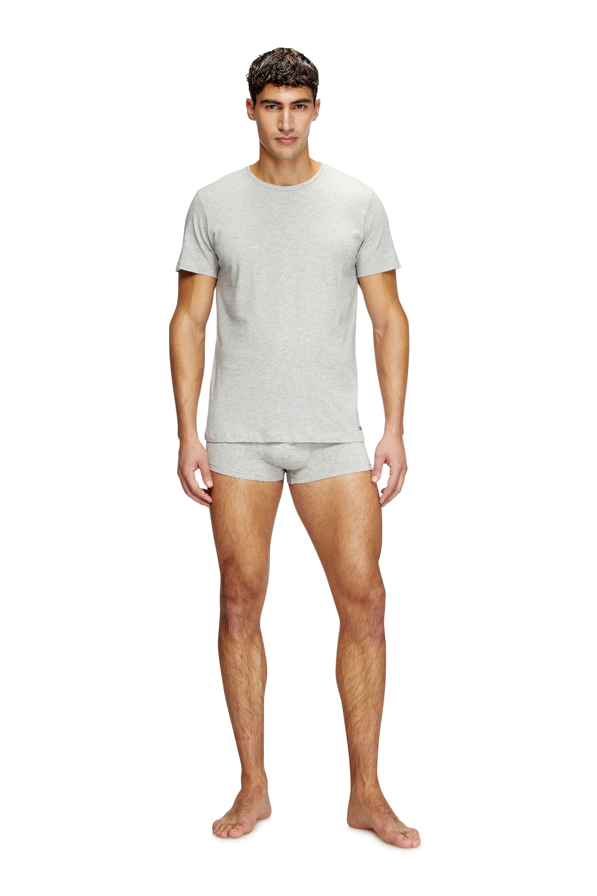 Diesel - RANDAL-D-BOX-3PACK, Herren T-Shirts im Dreierpack in Grau/Schwarz - 1