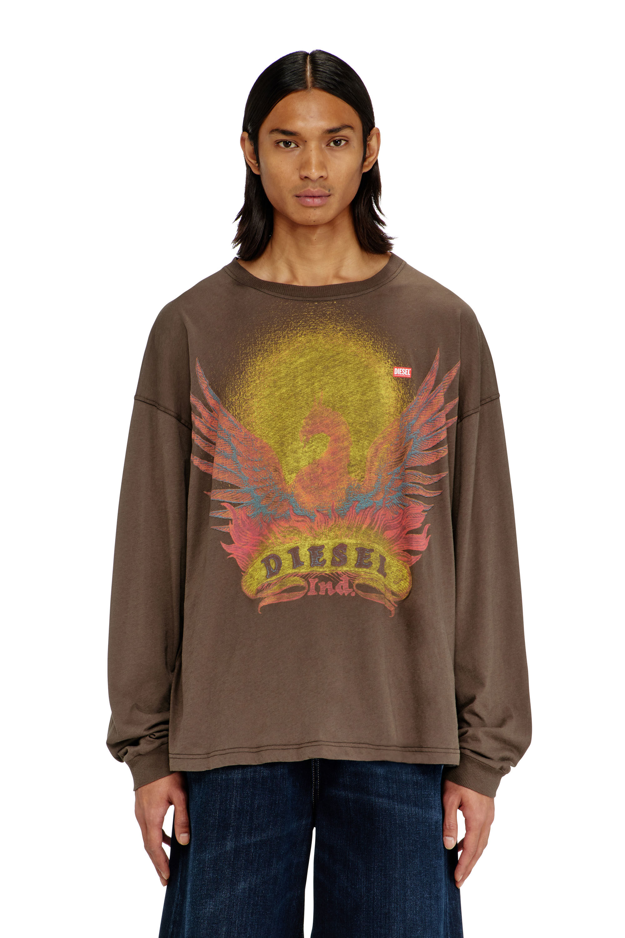 Diesel - T-BOXT-LS-AA1, Herren Langarm-T-Shirt mit Phoenix-Motiv in Braun - 3