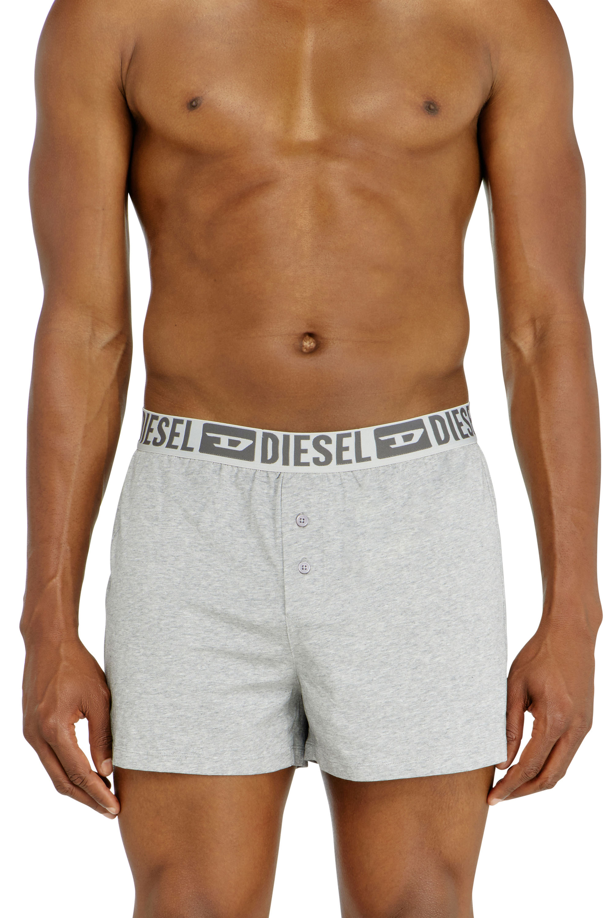 Diesel - STARKIE-D-CORE-2PACK, Herren Boxershorts aus stretch-baumwolle im Zweierpack in Grau - 2