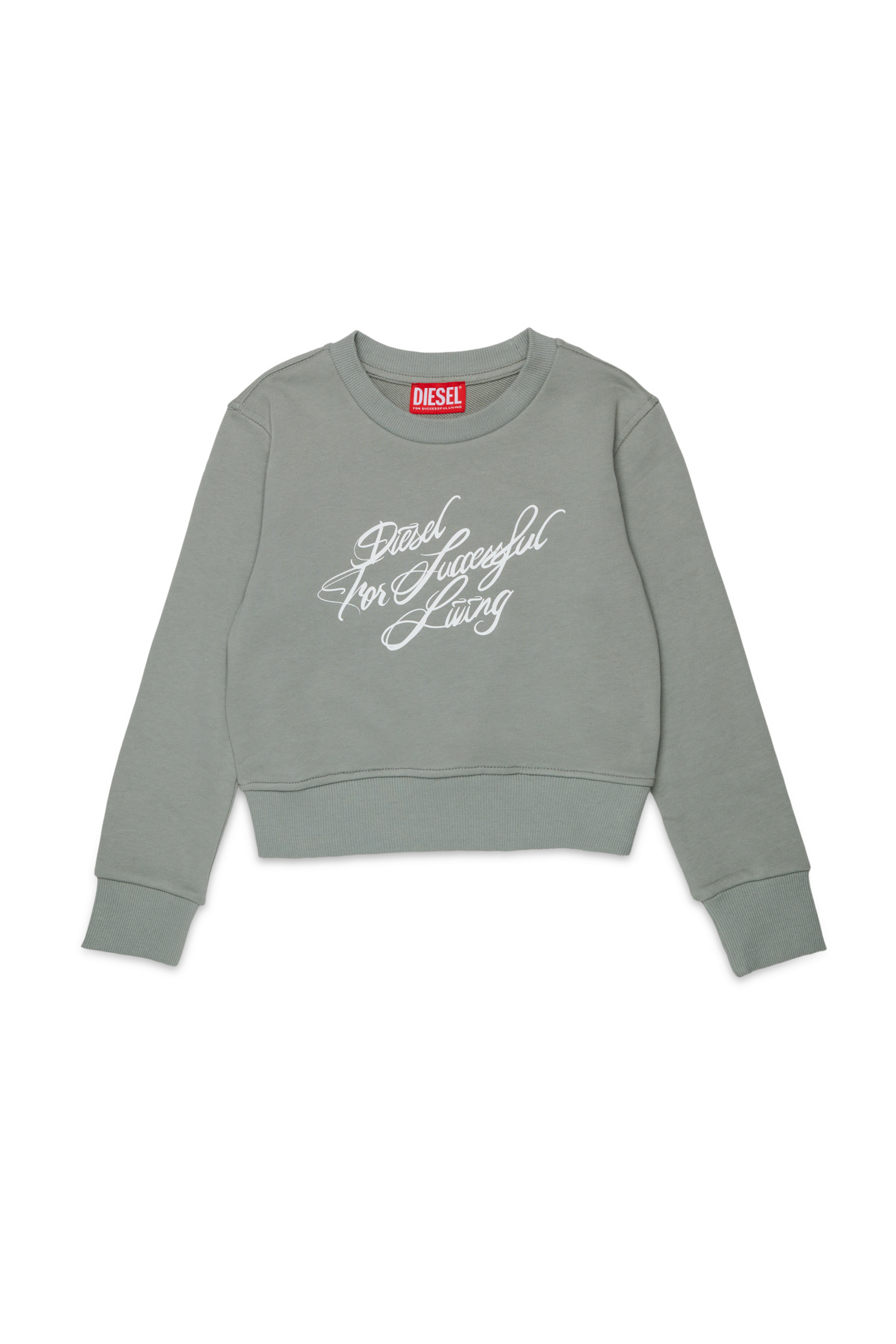 Diesel - SCRIPT, Damen Kurzes Sweatshirt mit Script-Print in Grau - 1