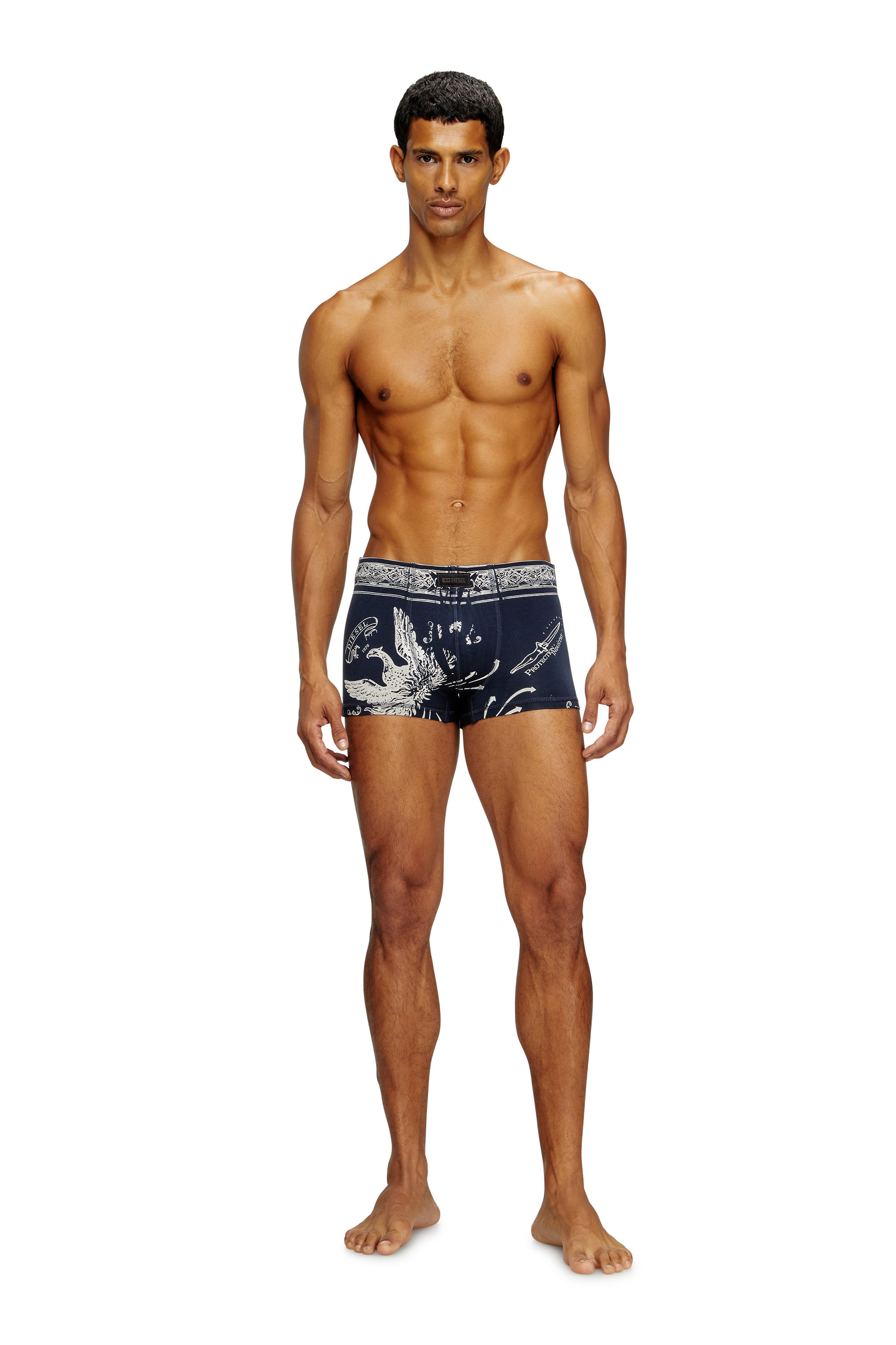 Diesel - DAMIEN-UTLT, Herren Retropants mit Phoenix-Print in Blau - 2