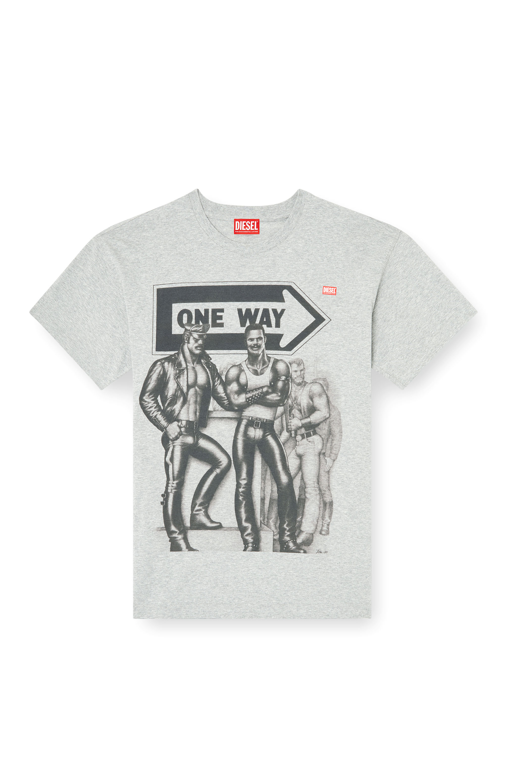 Diesel - PR-T-NORM-TOM25, Unisex T-Shirt mit Grafik-Print in Grau - 3