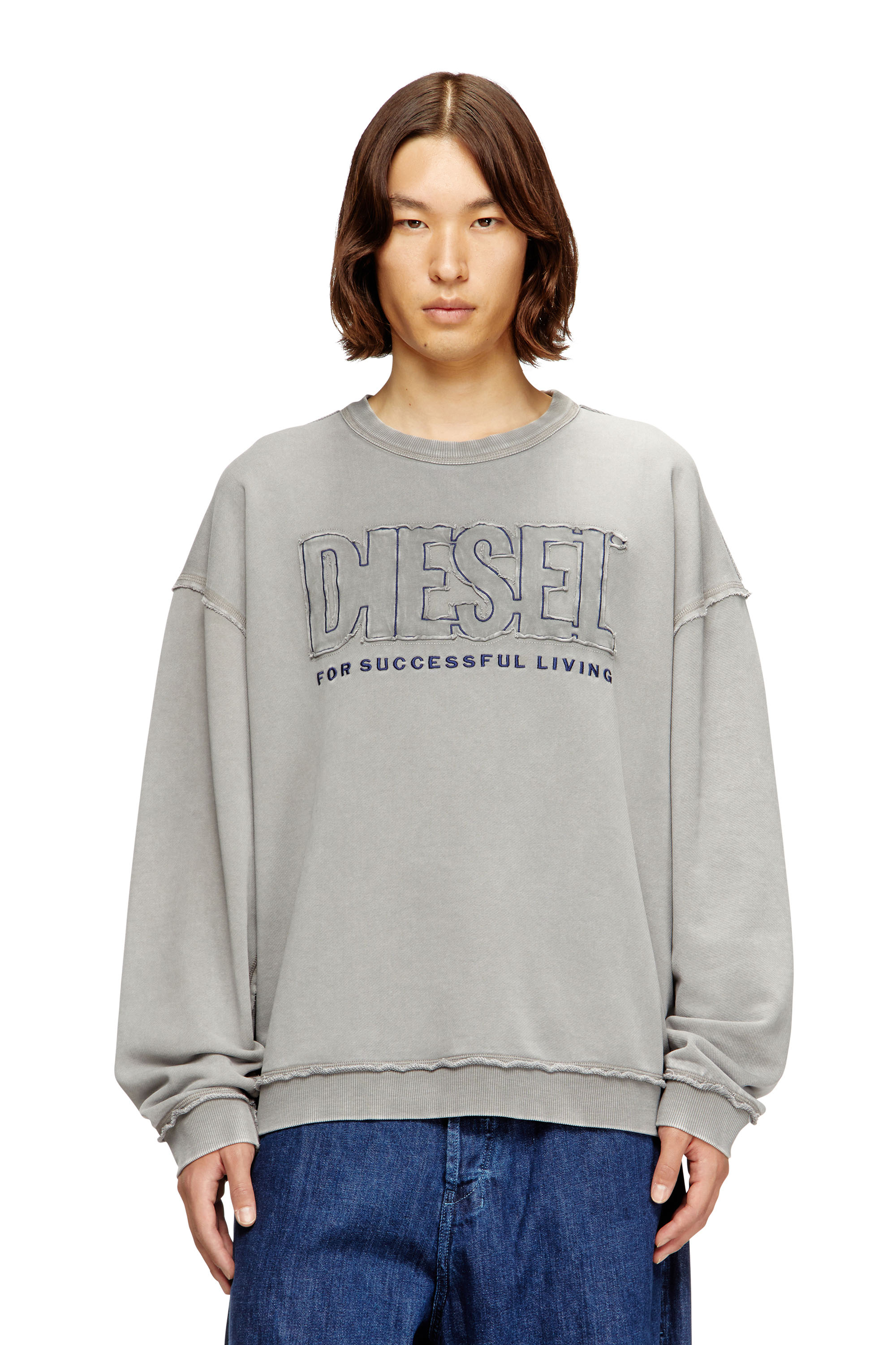 Diesel - S-BOXT-RAW-V1, Herren Baumwoll-Sweatshirt mit appliziertem Logo in Grau - 1