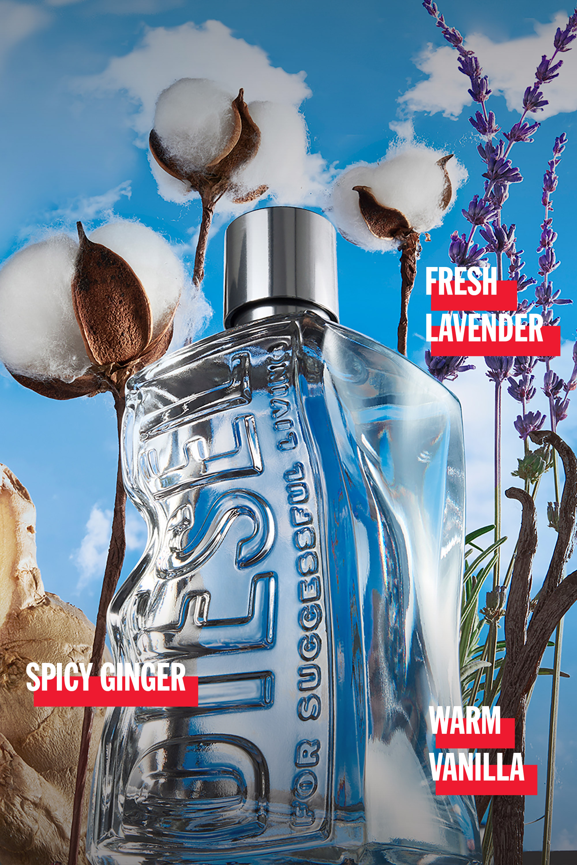 Diesel - D 50 ML, Unisex D 50ml, Eau de Toilette in Grau - 4