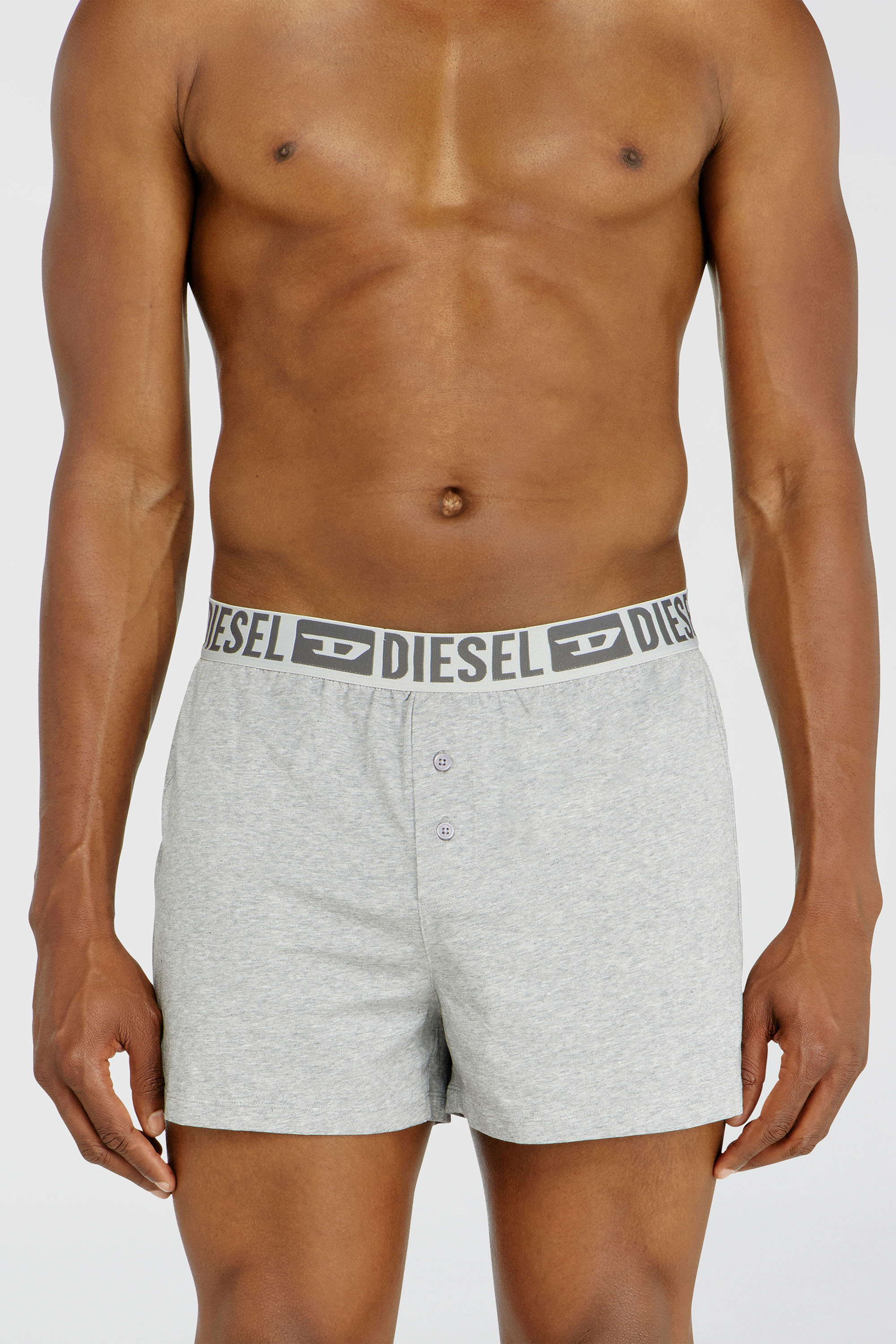 Diesel - STARKIE-D-CORE-2PACK, Herren Boxershorts aus stretch-baumwolle im Zweierpack in Grau - 2