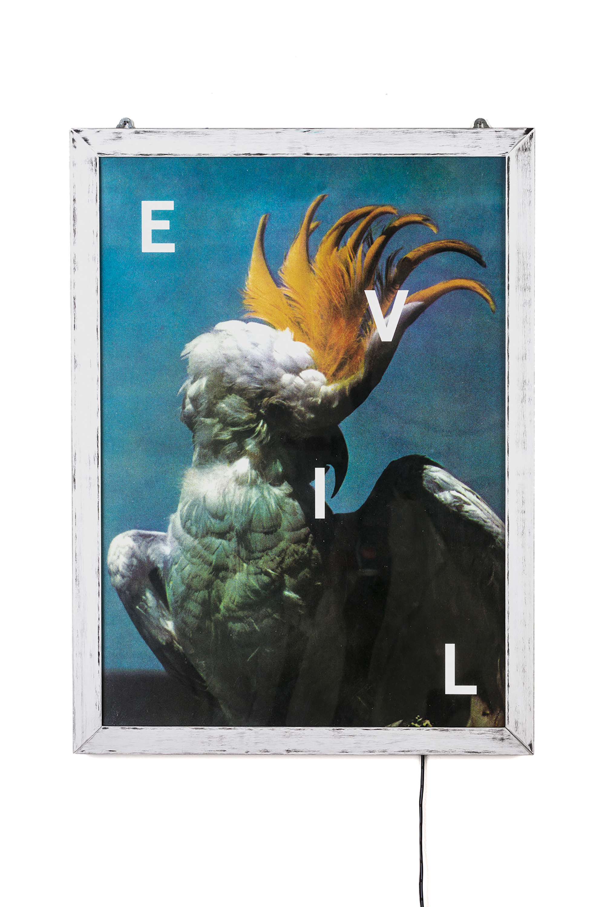 Diesel - 11021 FRAME IT!, Unisex Poster "Evil" in Weiß - 1