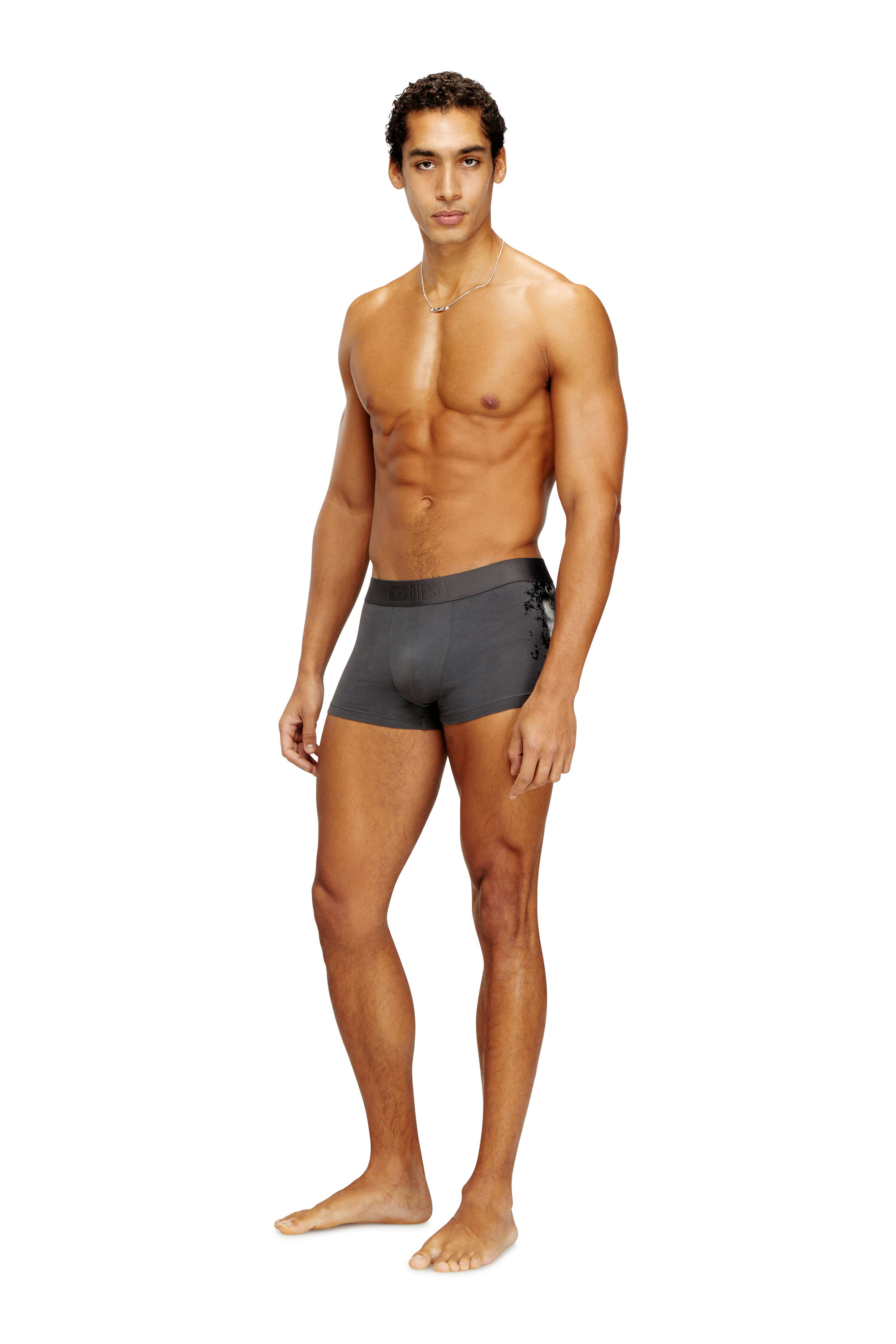 Diesel - DAMIEN-GFT, Herren Boxershorts aus Stretch-Baumwolle mit tonalem Print in Grau - 1