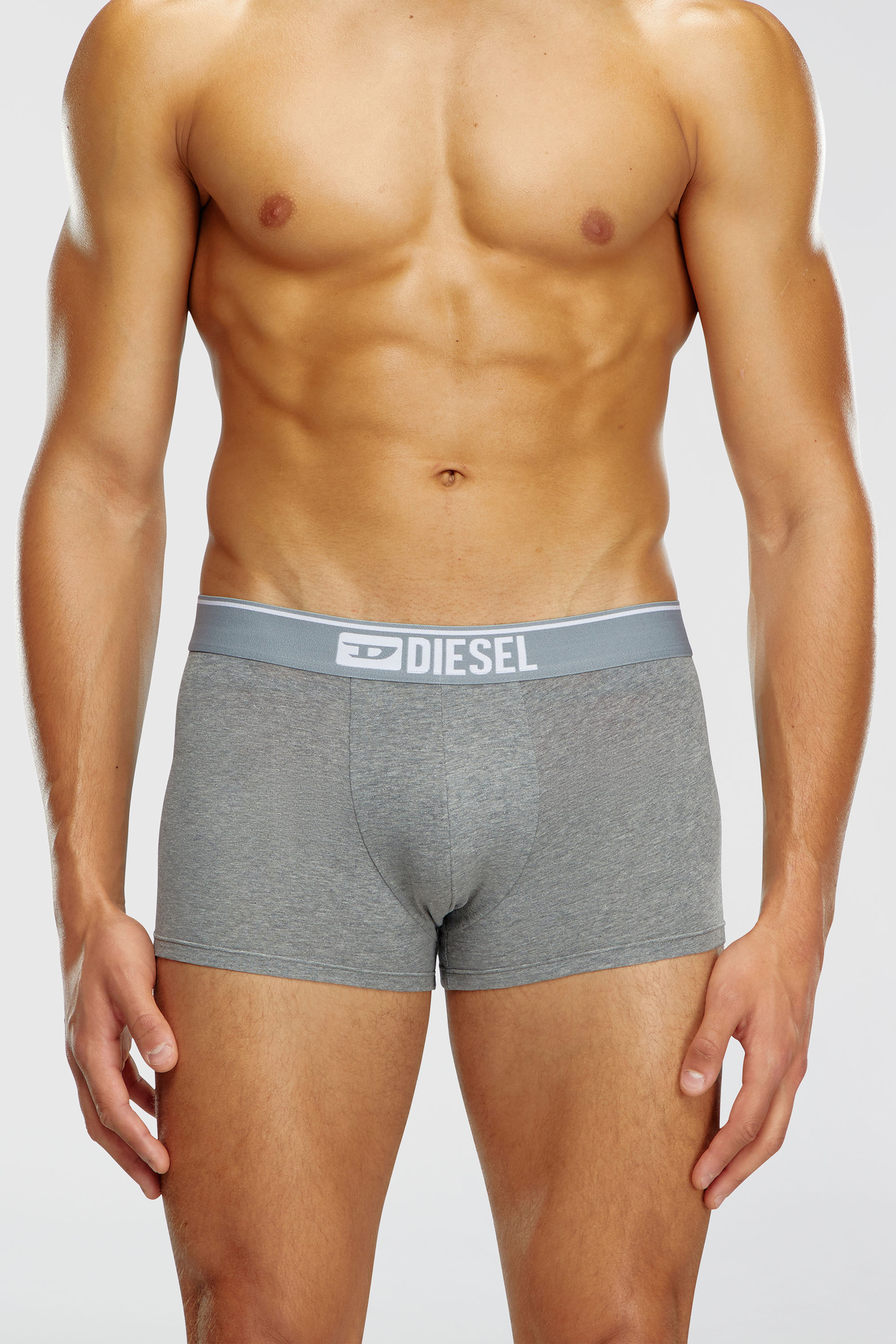 Diesel - UMBX-DAMIENTHREEPACK, Herren Einfarbige Retropants im Dreierpack in Weiss/Grau - 2
