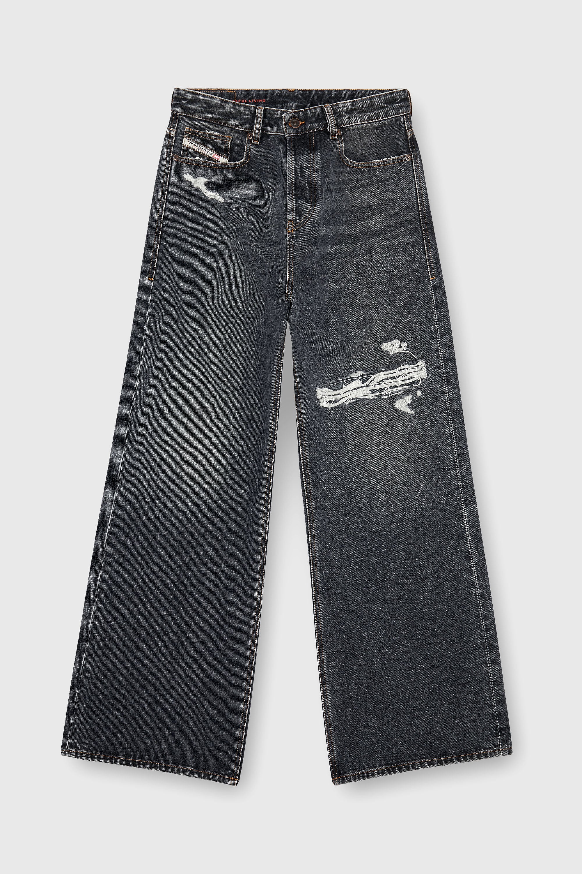Diesel - Unisex Relaxed Jeans 1996 D-Sire 007F6, Schwarz/Dunkelgrau - 2