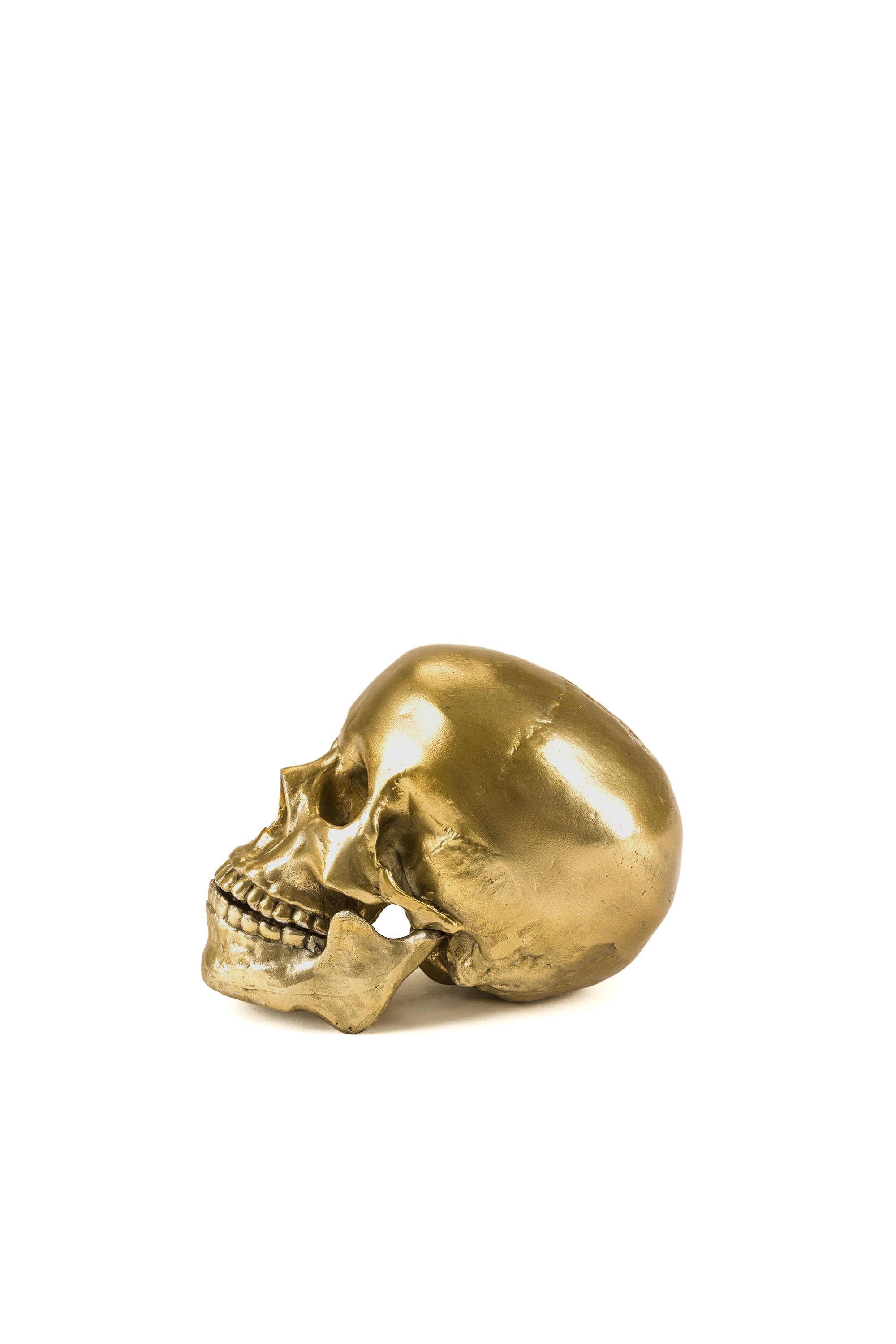 Diesel - 10891 Wunderkammer, Unisex "Culture Skullture" Wunderkammer Human Skull in Gold - 2