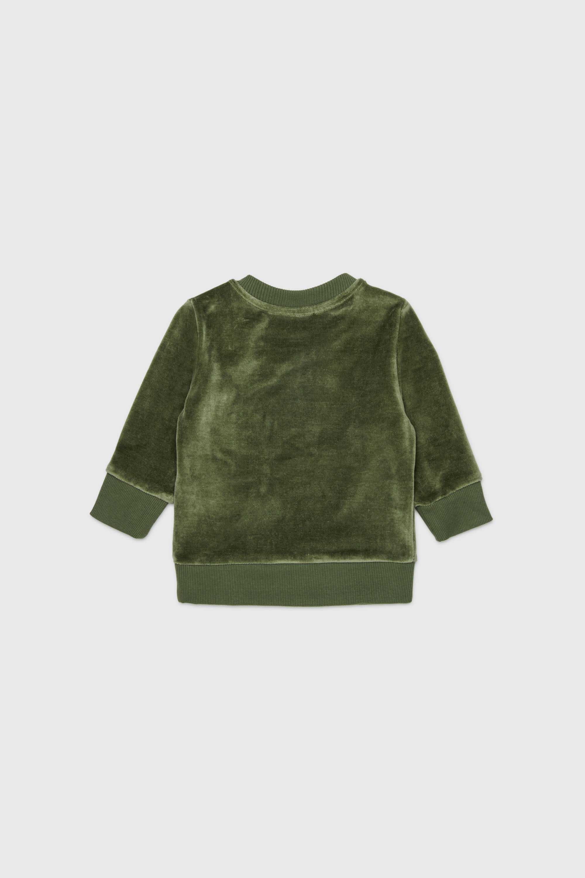 Diesel - SHENIB, Herren Sweatshirt aus Samt mit Oval D Stickerei in Gr&uuml;n - 2