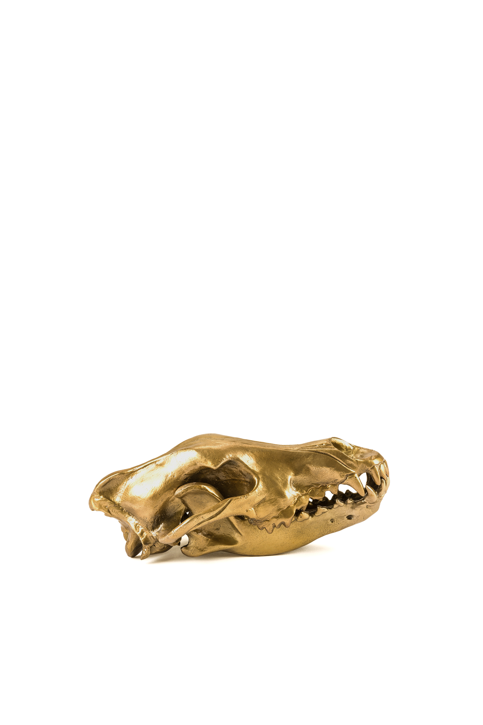 Diesel - 10892 Wunderkammer, Unisex "Wolf This Way" Wunderkammer Wolf Skull in Gold - 2