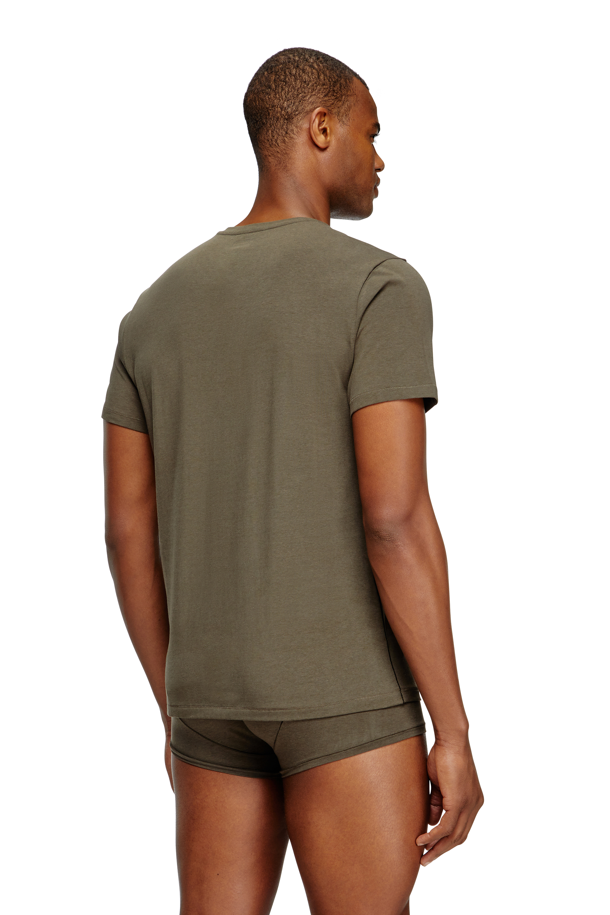Diesel - RANDAL-D-MONO-2PACK, Herren T-Shirt aus fließendem Jersey im Zweierpack in Grün/Blau - 3