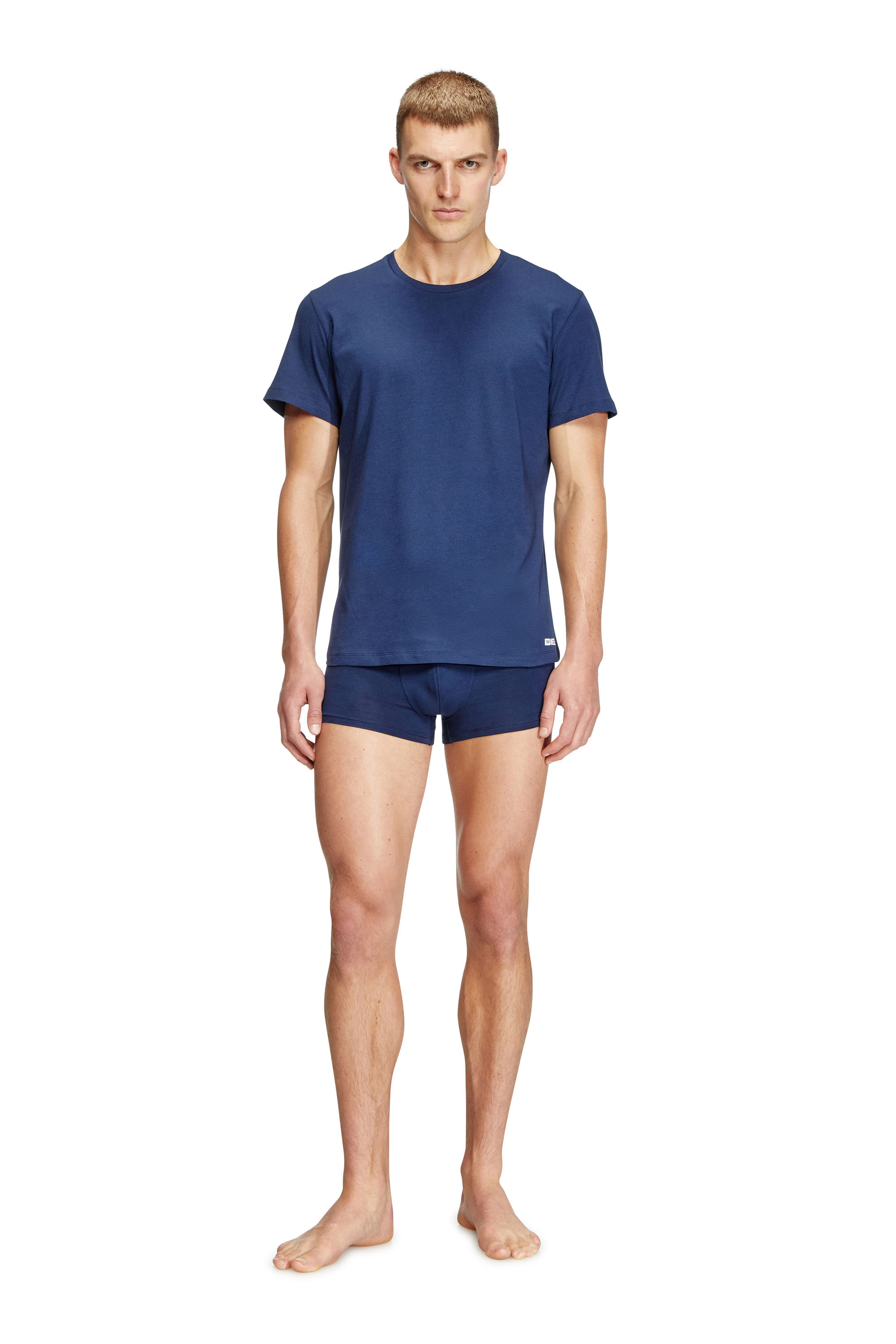 Diesel - RANDAL-D-BOX-3PACK, Herren T-Shirts im Dreierpack in Blau/Weiss - 1