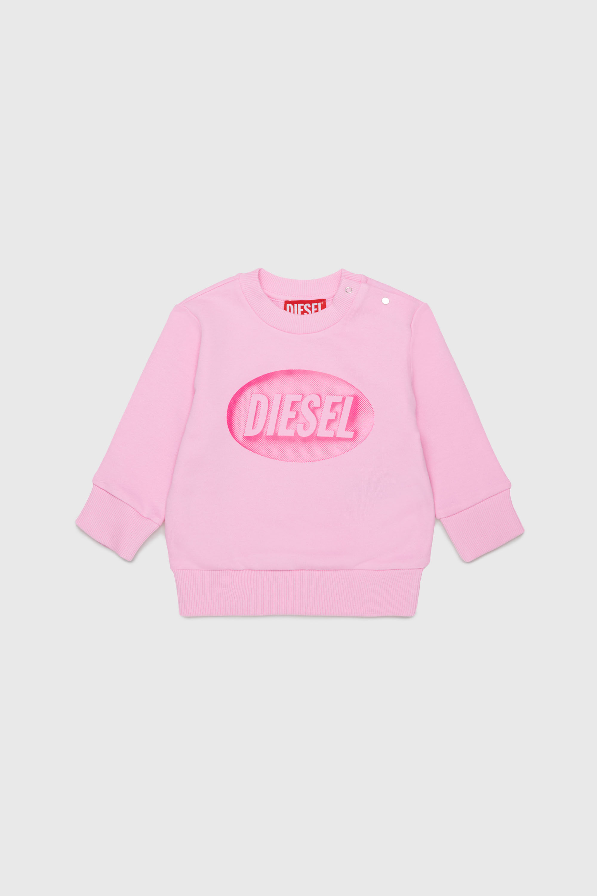 SDSELB