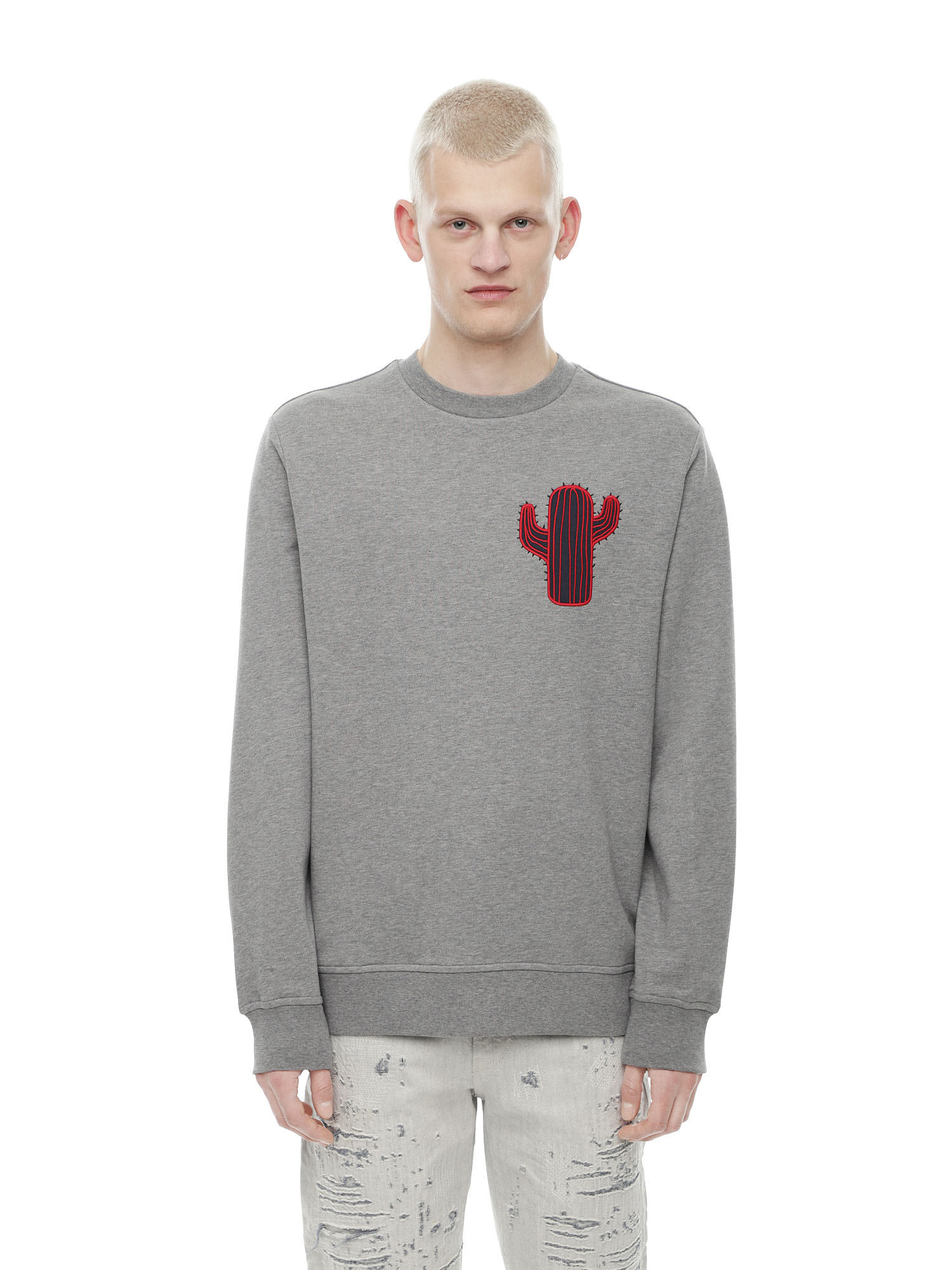 SNEILB-CACTUS, Diesel - SNEILB-CACTUS, - Image 1