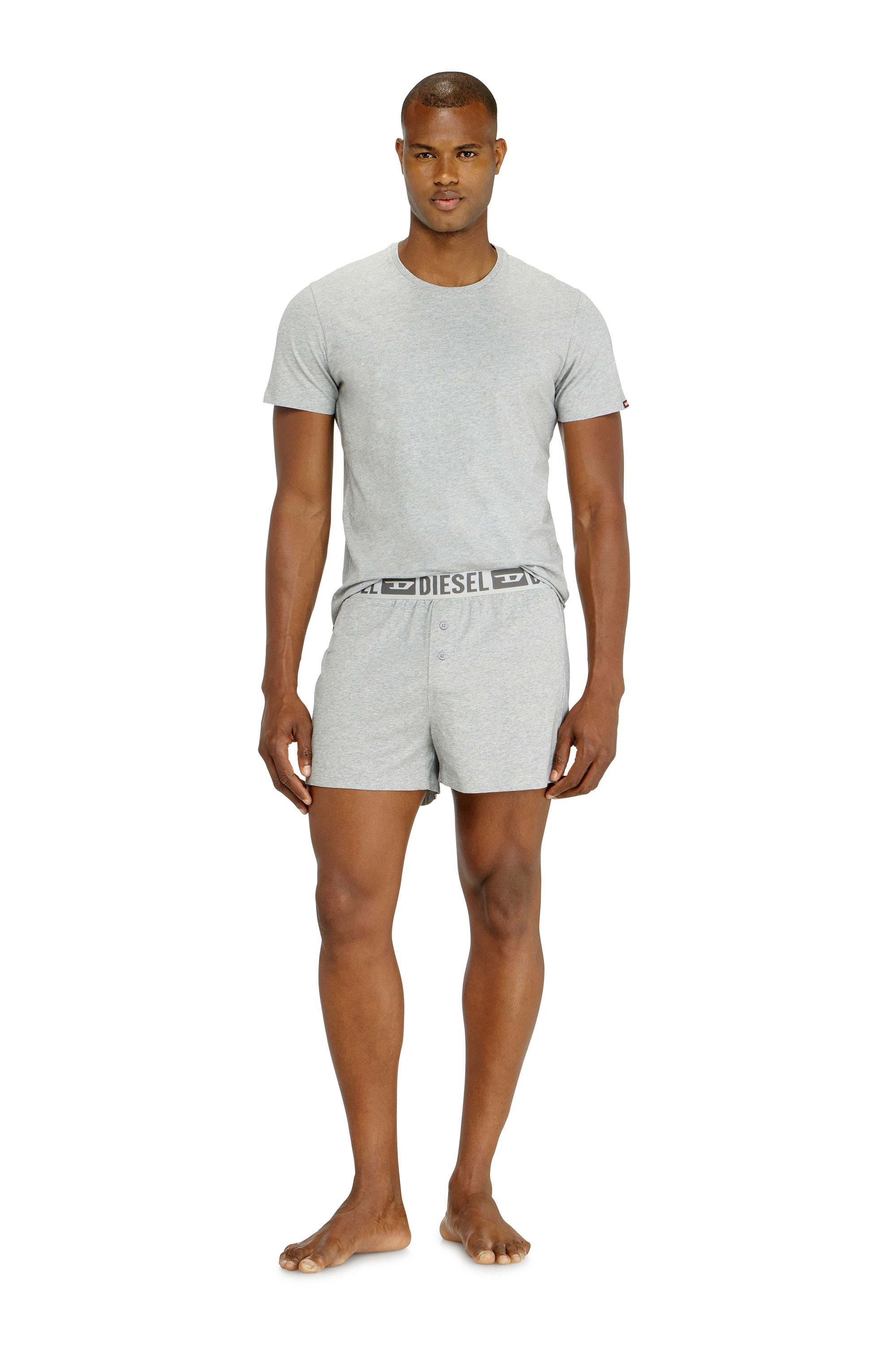 Diesel - STARKIE-D-CORE-2PACK, Herren Boxershorts aus stretch-baumwolle im Zweierpack in Grau - 3