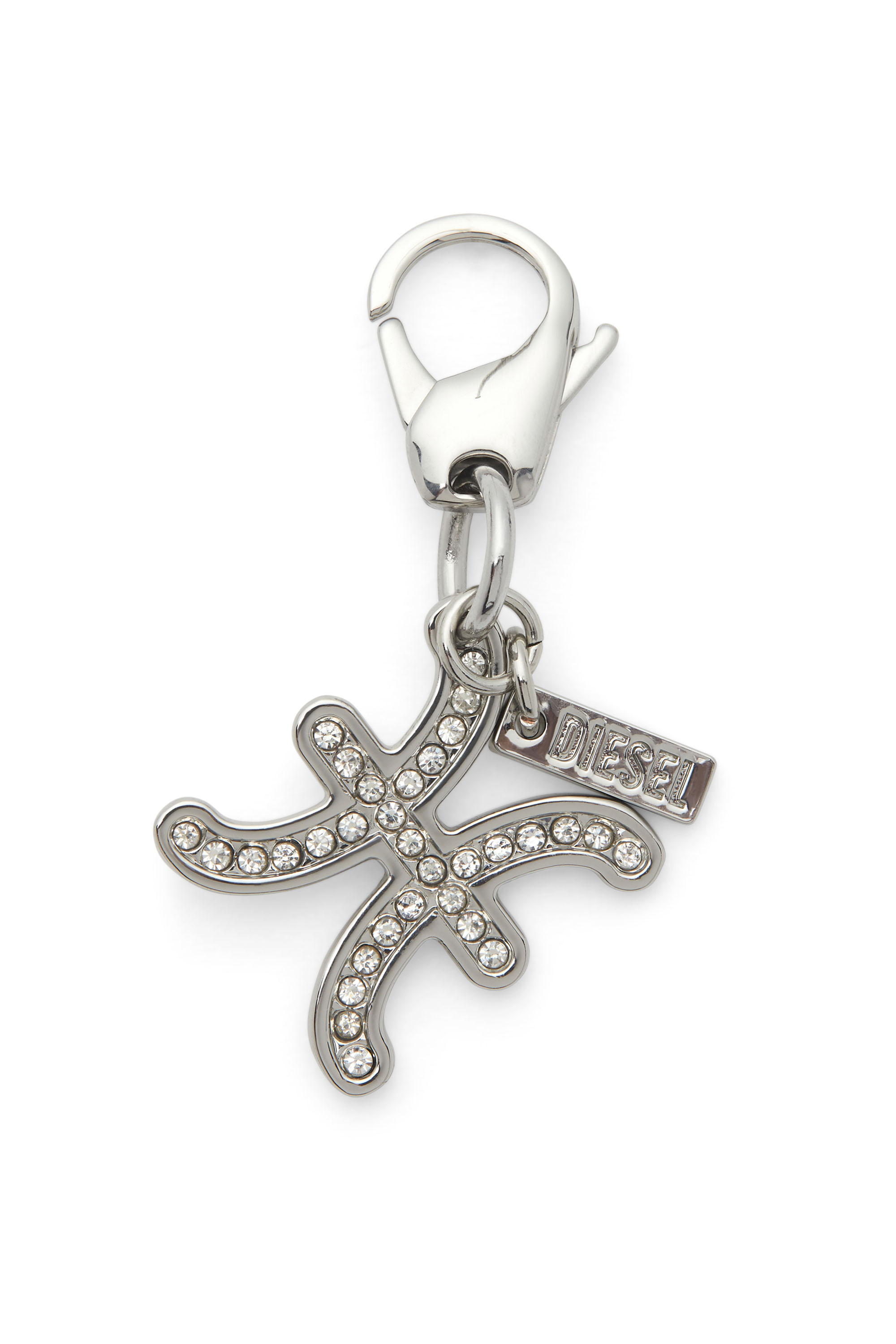 CHARM PISCES, Silber
