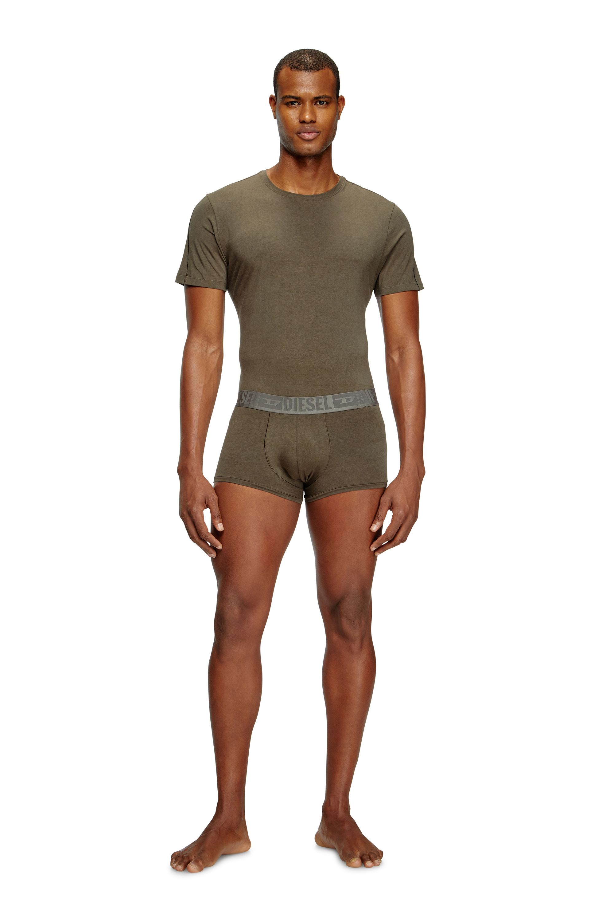 Diesel - RANDAL-D-MONO-2PACK, Herren T-Shirt aus fließendem Jersey im Zweierpack in Grün/Blau - 2