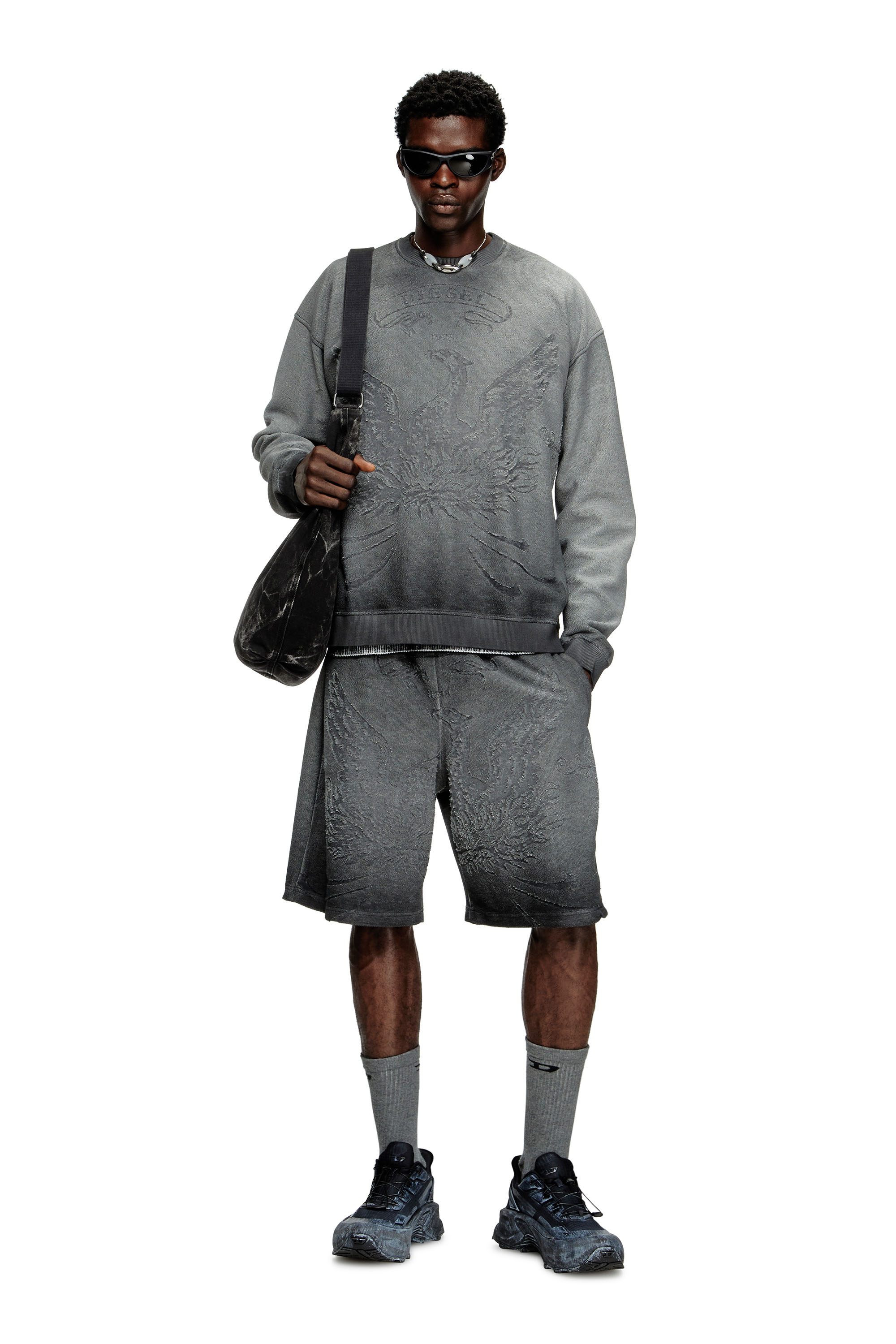 Diesel - S-ARON, Herren Verblasstes Sweatshirt mit Devoré-Phoenix-Logo in Grau - 1