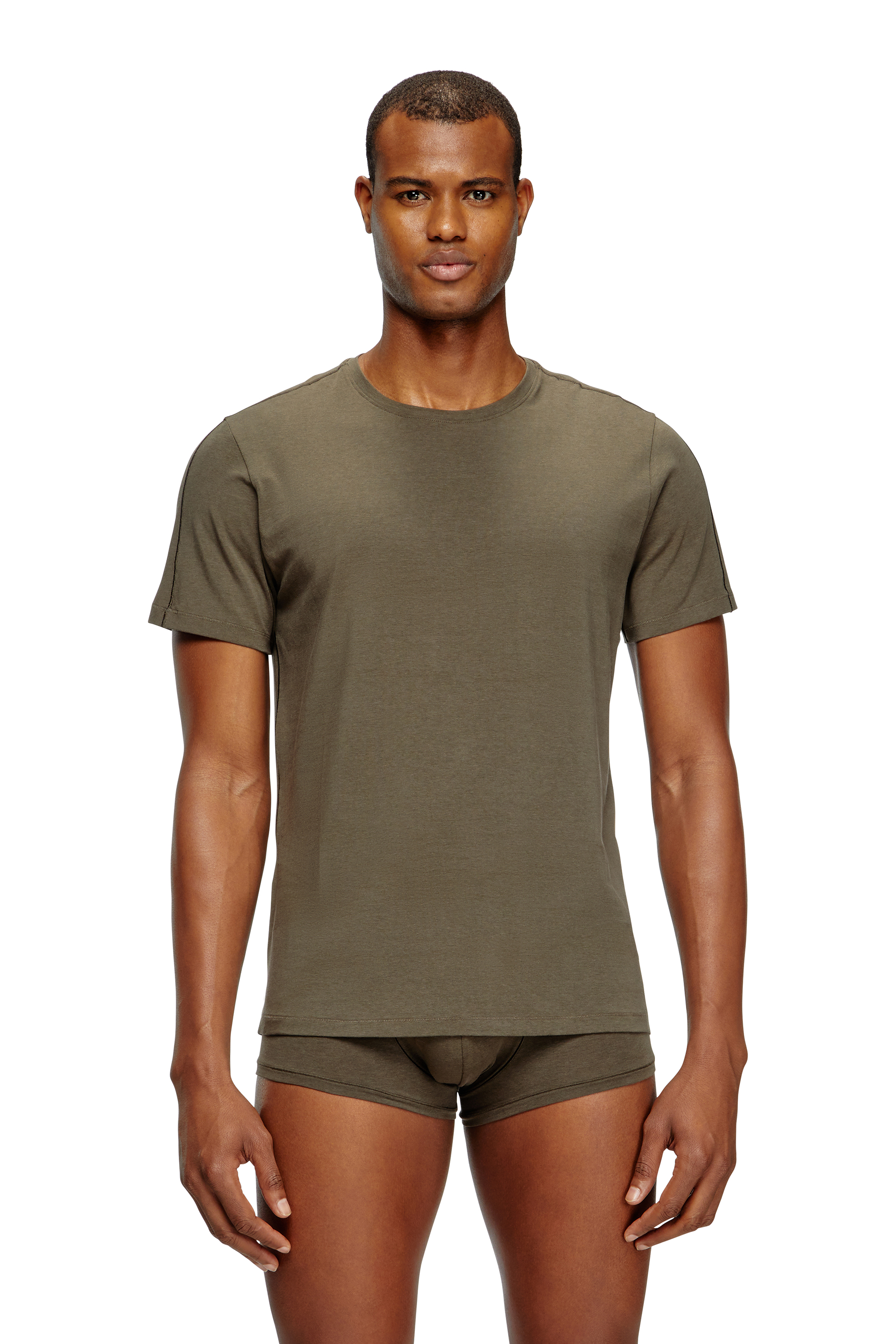 Diesel - RANDAL-D-MONO-2PACK, Herren T-Shirt aus fließendem Jersey im Zweierpack in Grün/Blau - 1
