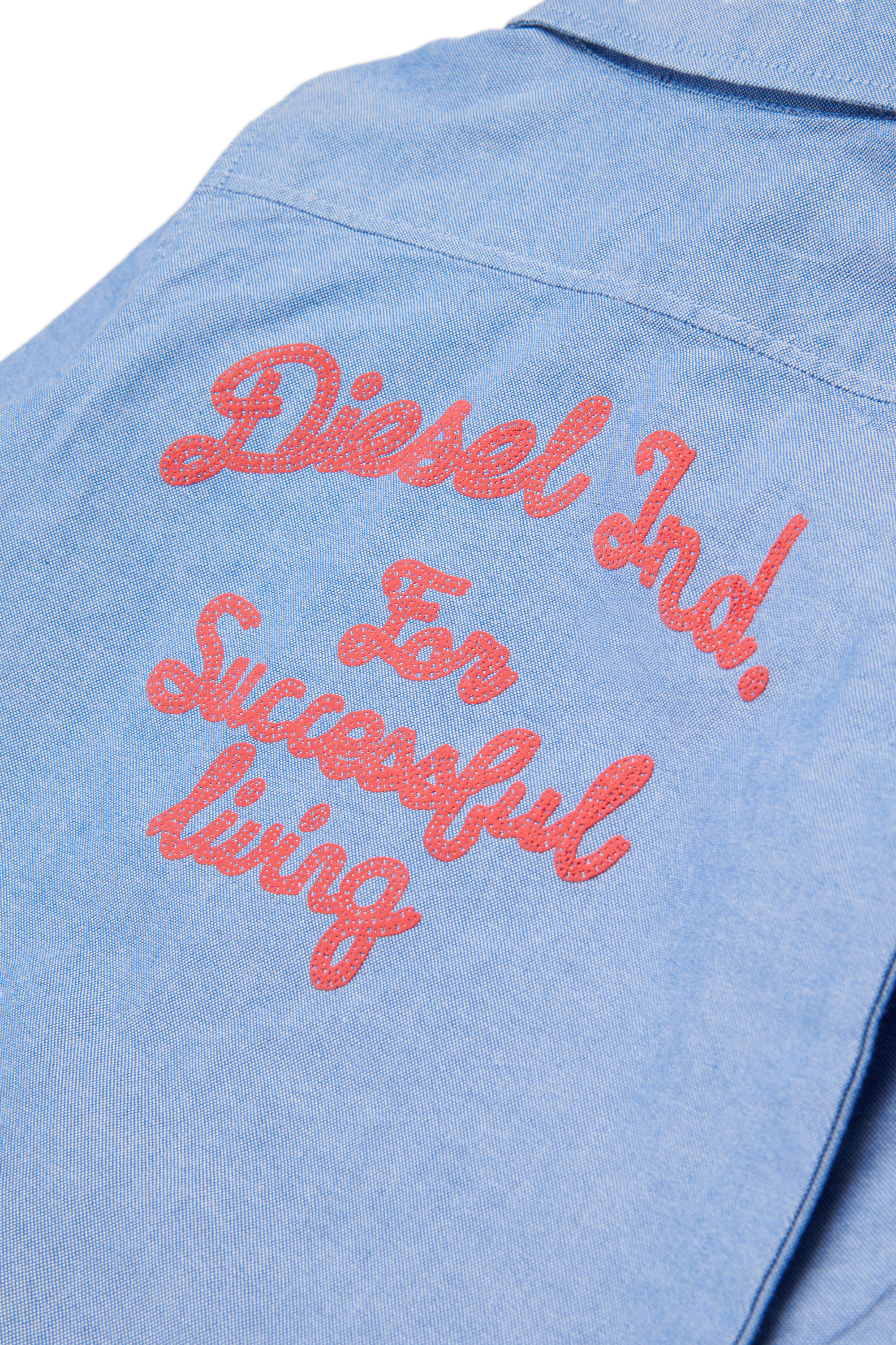 Diesel - CELB, Herren Hemd mit besticktem R&uuml;ckenteil in Blau - 4