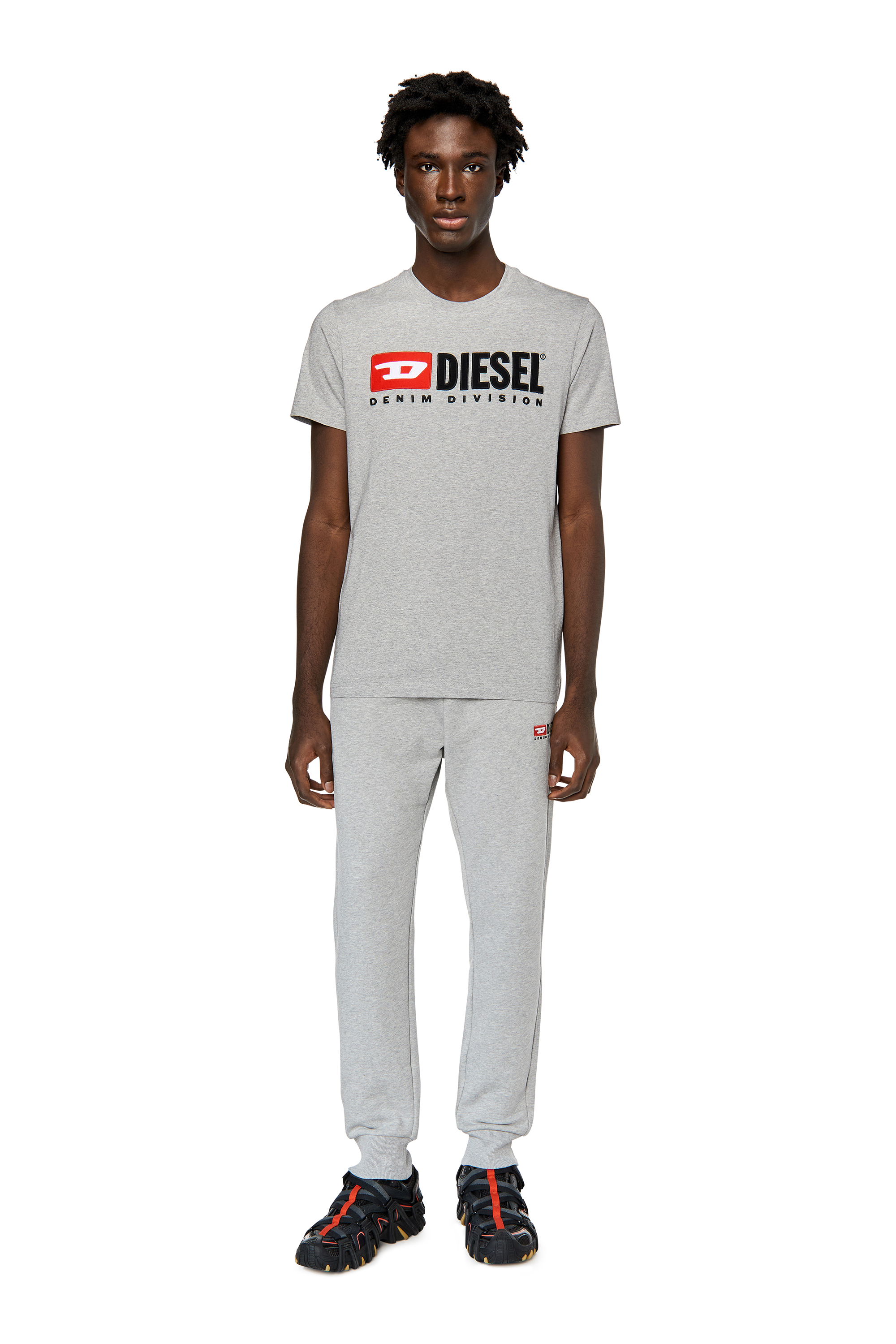 Diesel - T-DIEGOR-DIV, Grau - Image 2