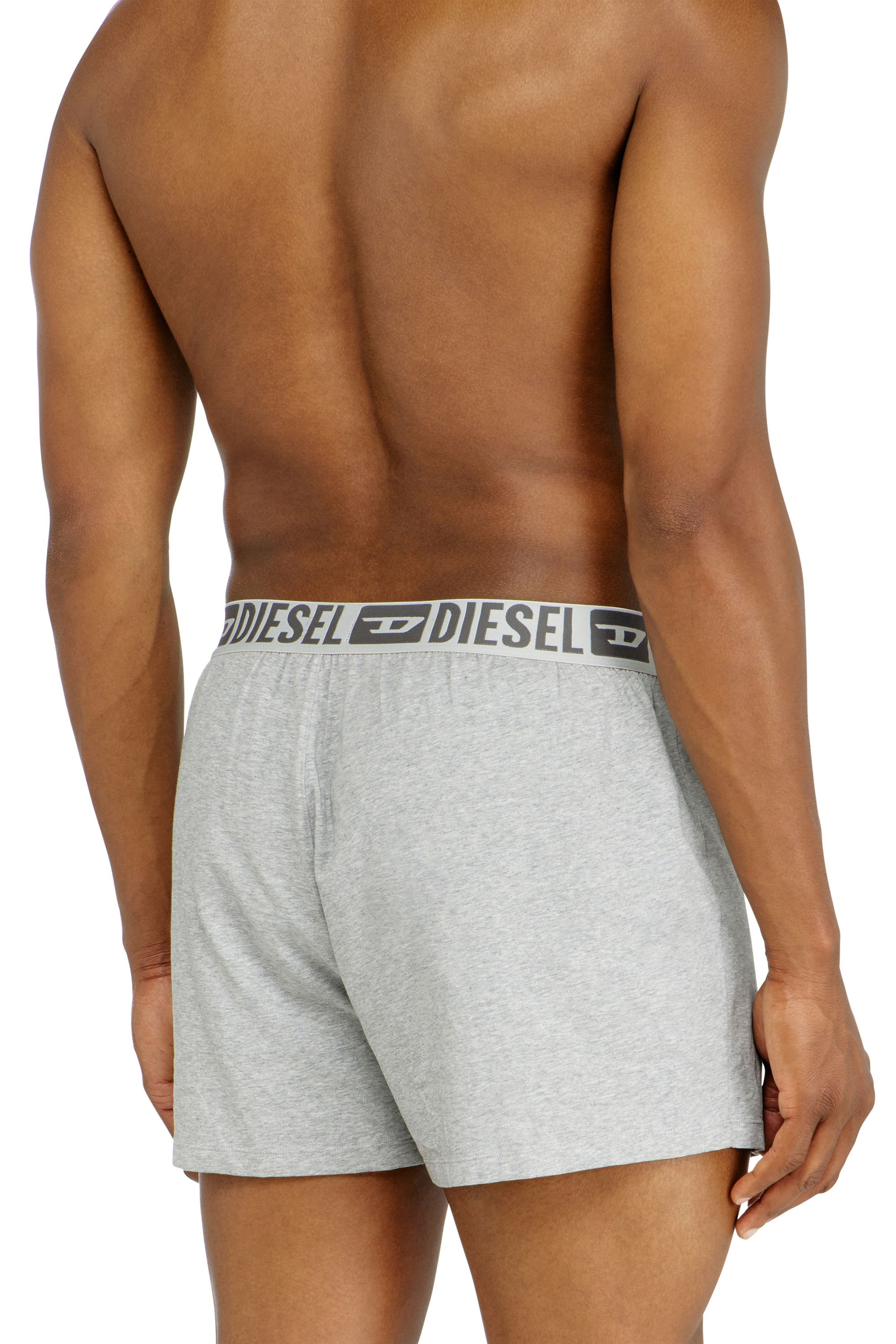 Diesel - STARKIE-D-CORE-2PACK, Herren Boxershorts aus stretch-baumwolle im Zweierpack in Grau - 4