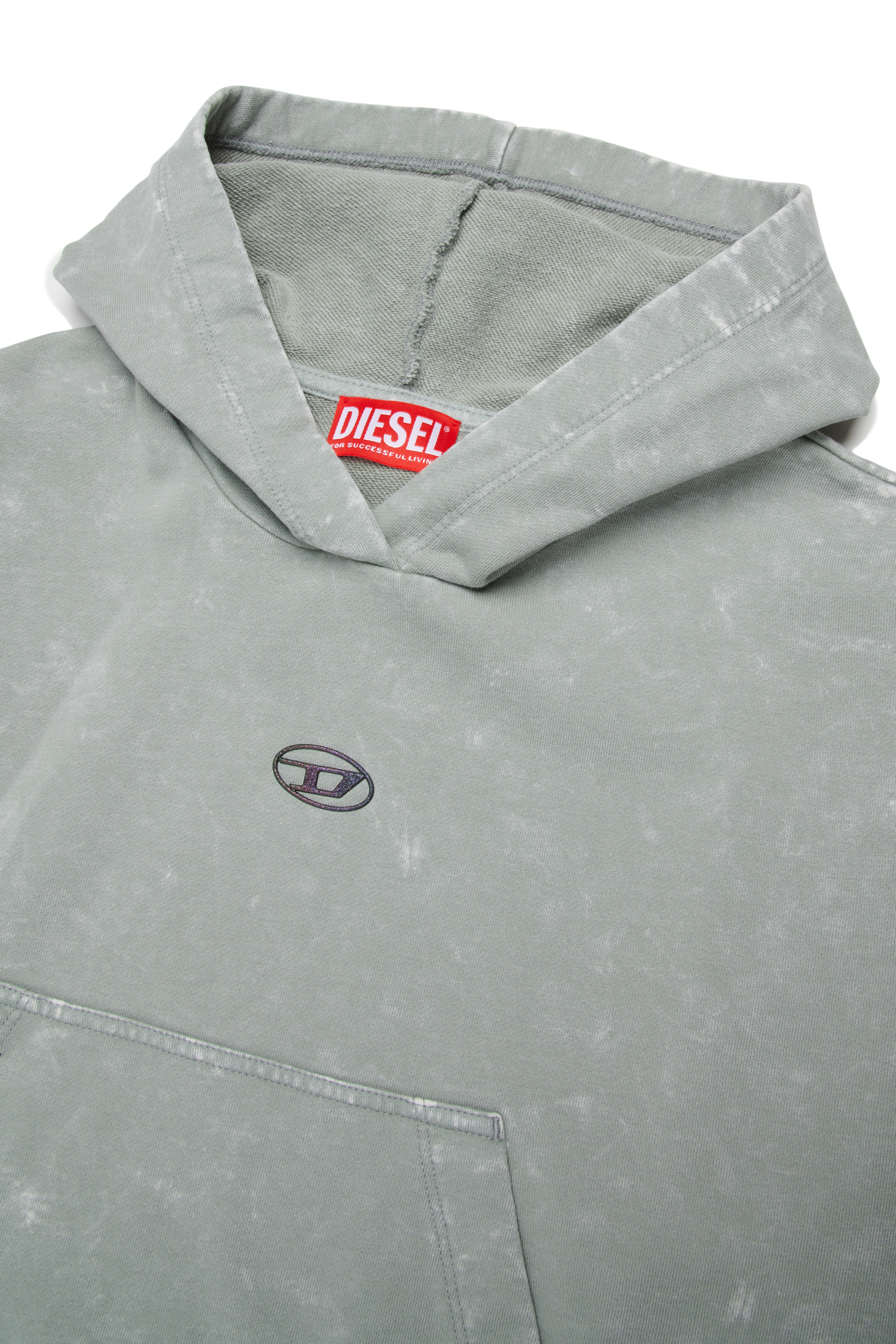 Diesel - SALIA, Damen Hoodie aus Baumwolle mit Washed-Effekt in Silber - 3